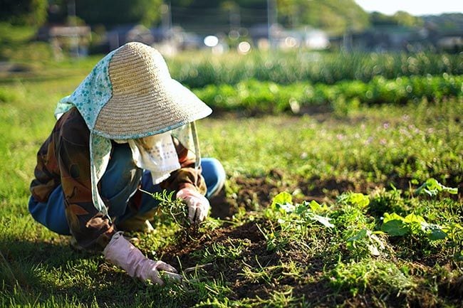 ¿Conoces la diferencia entre bio y orgánico? Te sacamos de dudas