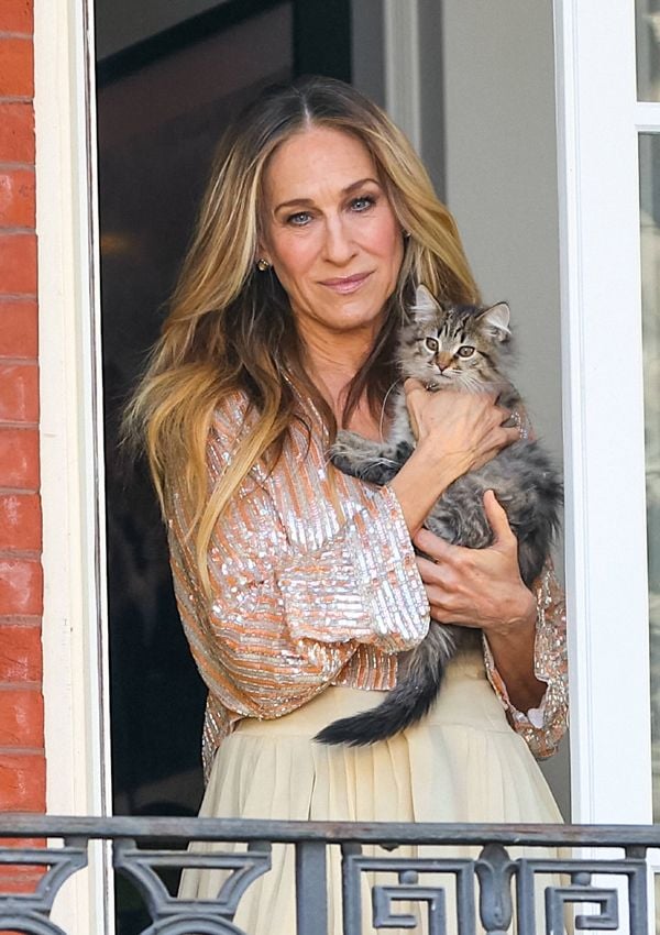 carrie-bradshaw-gato