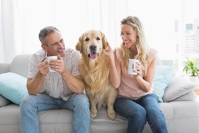 Así es como tener mascota te ayuda a crear lazos con tu pareja