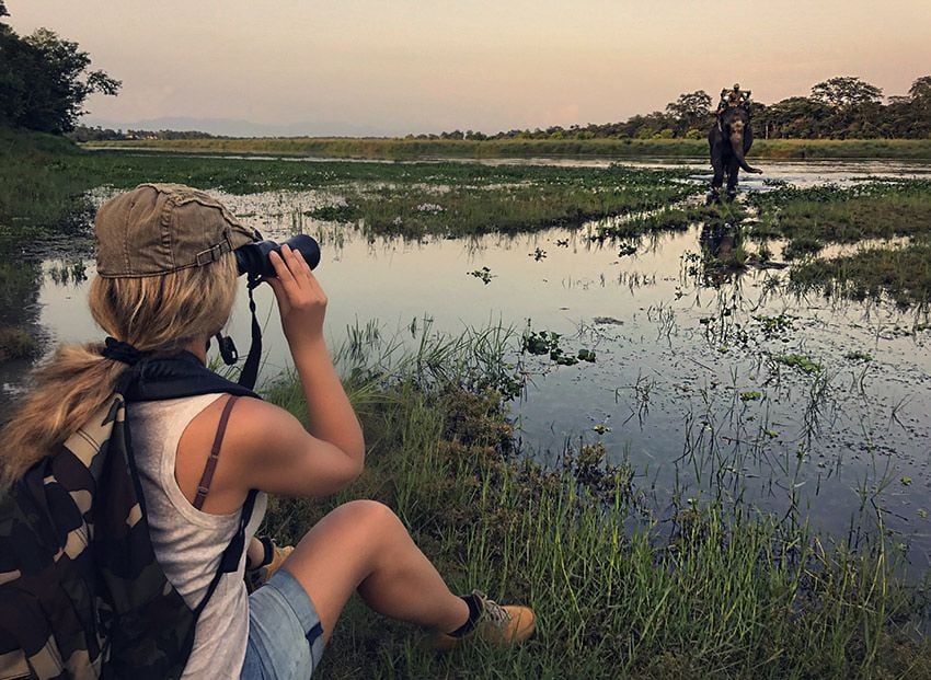 nepal-safari