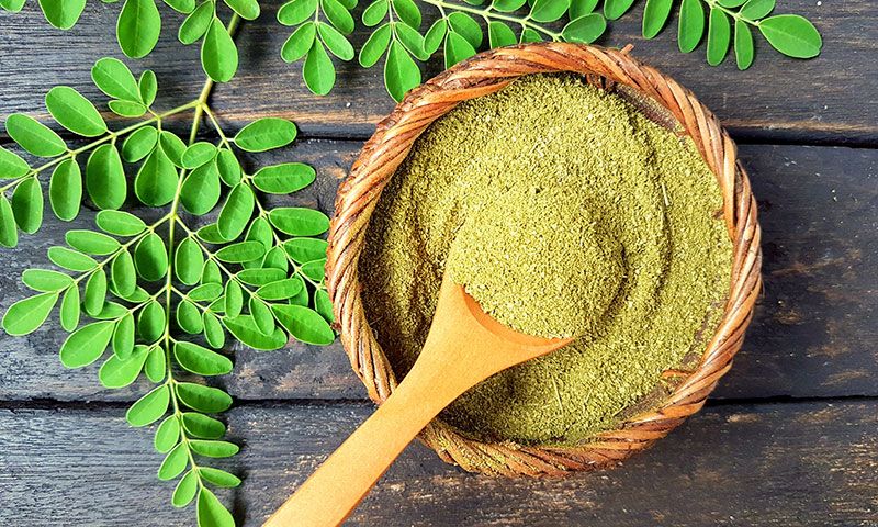 moringa