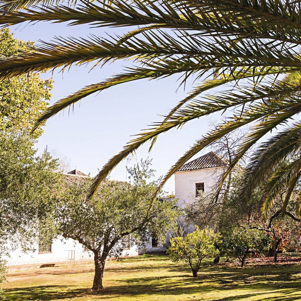 Lourdes Montes y su mágica casa de Ronda. LIVING