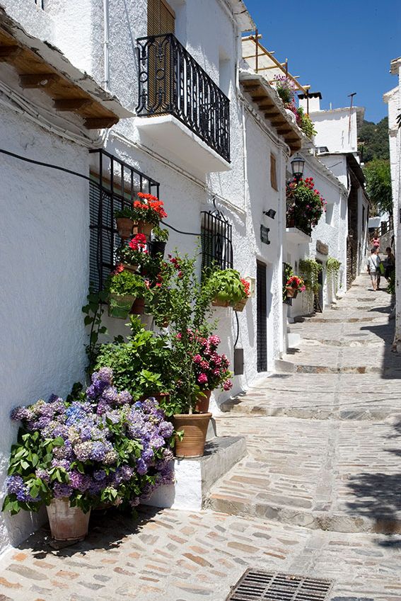 granada Capileira alpujarra