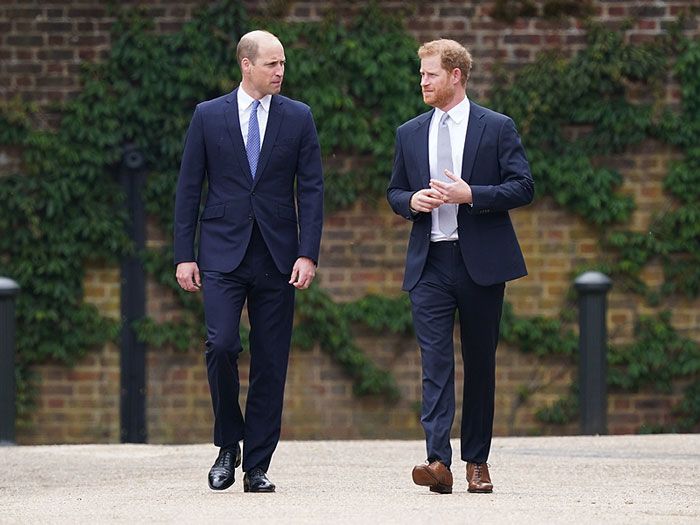 Guillermo y Harry de Inglaterra