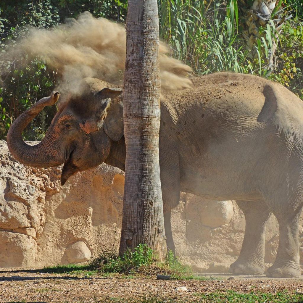 terra natura benidorm alicante 