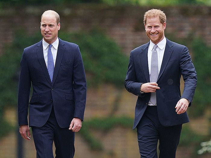 Príncipe Harry y Príncipe William en un acto homenaje a Diana de Gales 