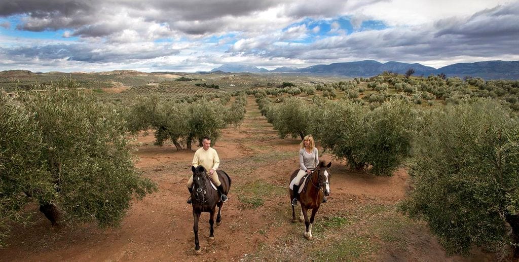 a_PASEO A CABALLO POR EL OLIVAR we