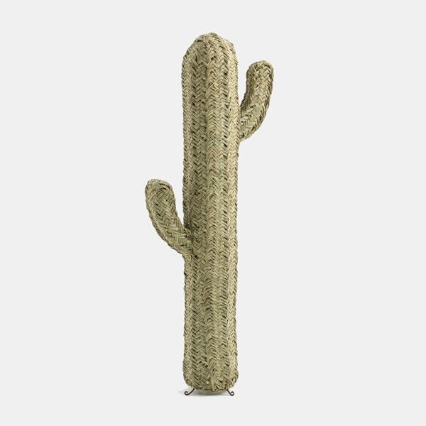 cactus fibra