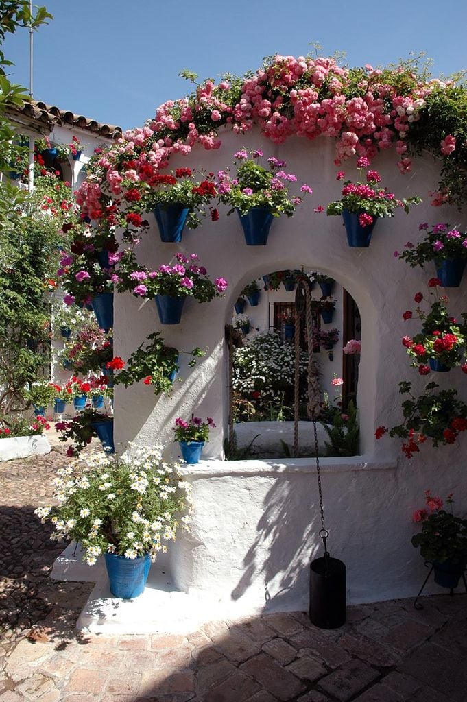 patio flores