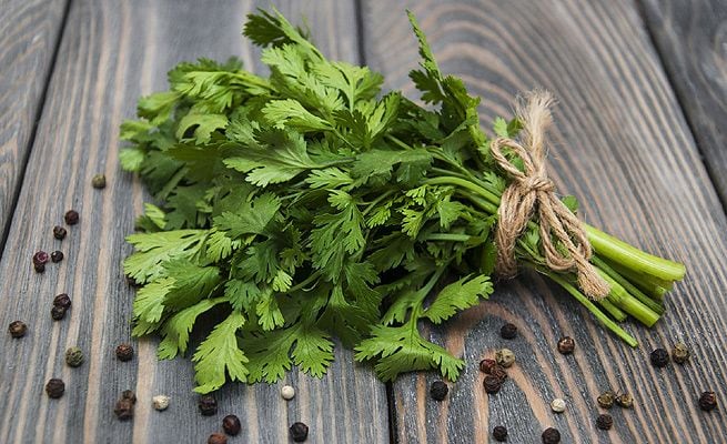 beneficios cilantro 