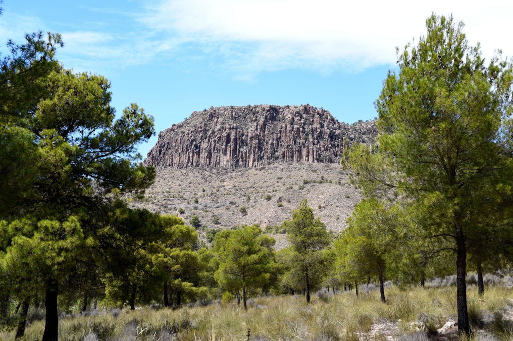 Pitón de Cancarix, Hellín, Albacete