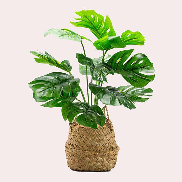 Planta artificial Monstera de Leroy Merlin