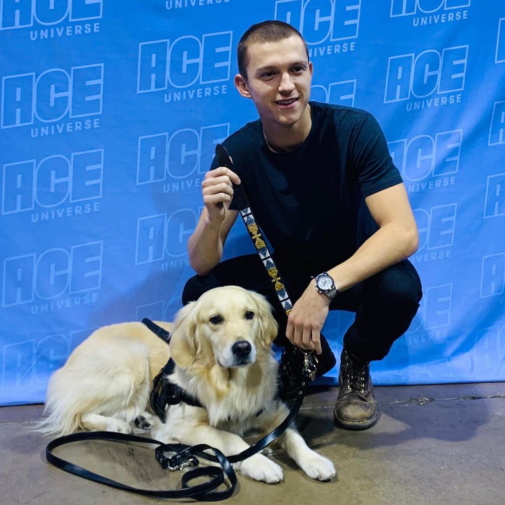 Tom Holland con su perro