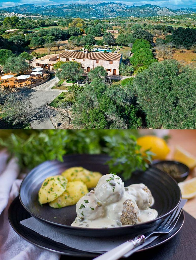 hotel vegano mallorca