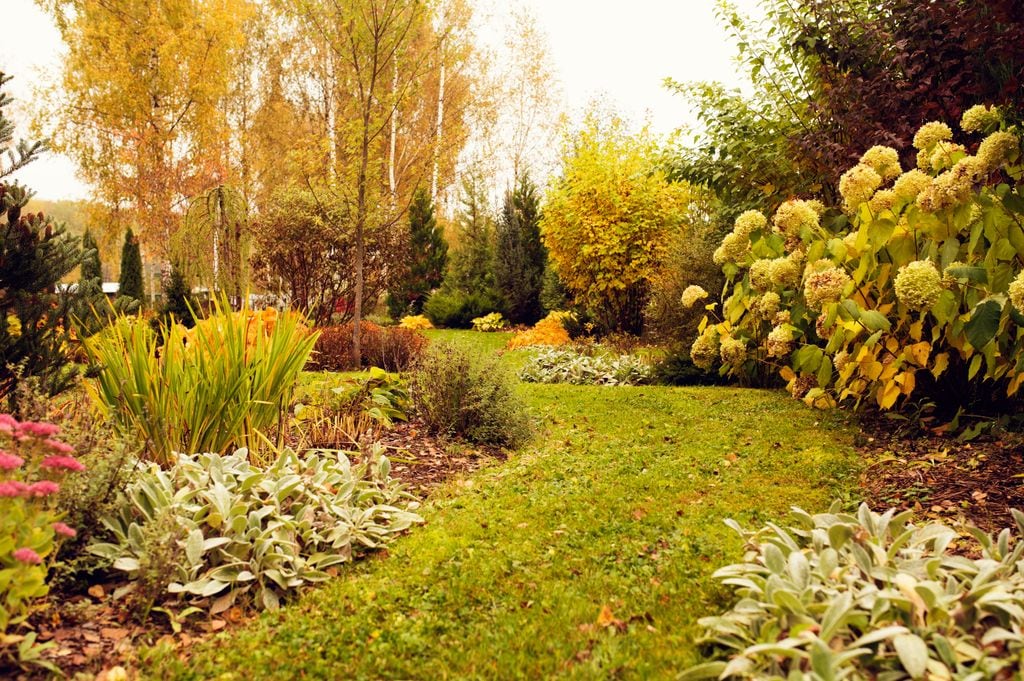 Jardín en otoño