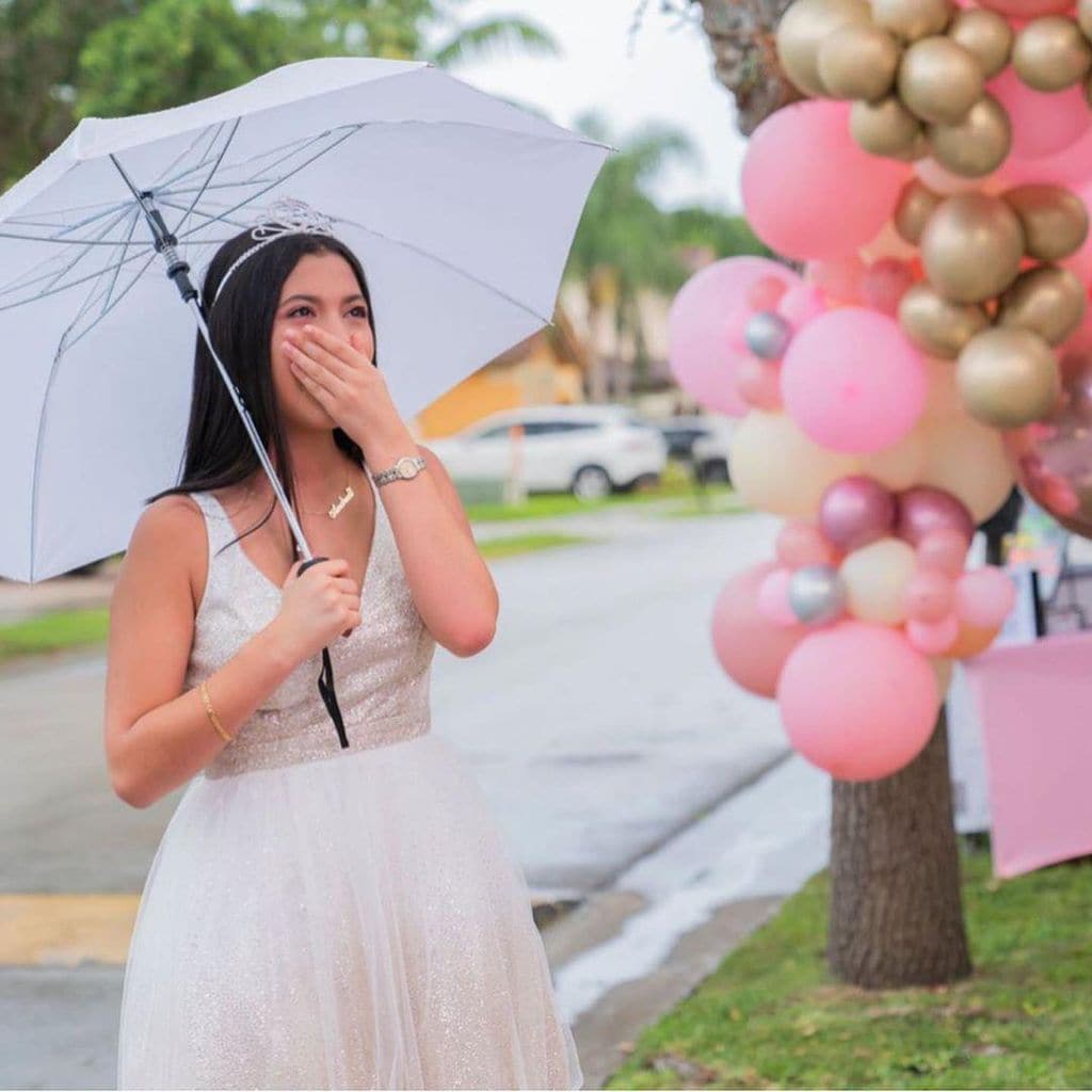 sobrina de dayanara torres en su fiesta de quincea era