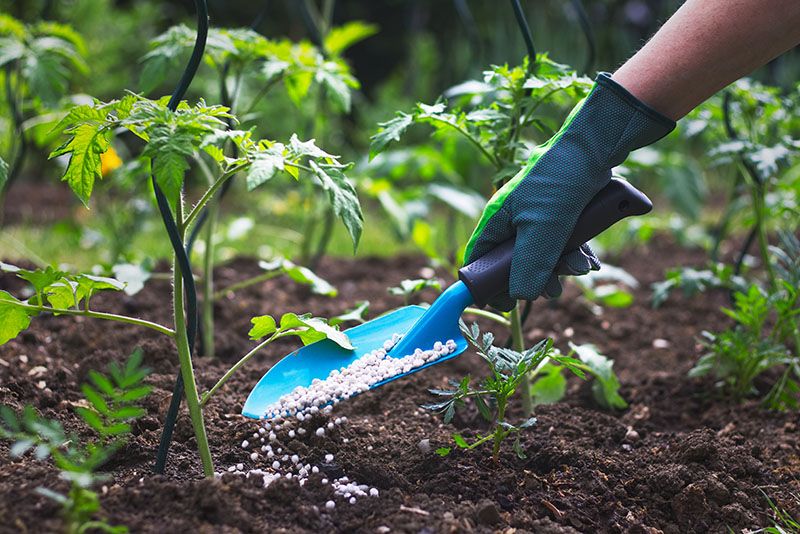 abono plantas jardin 4