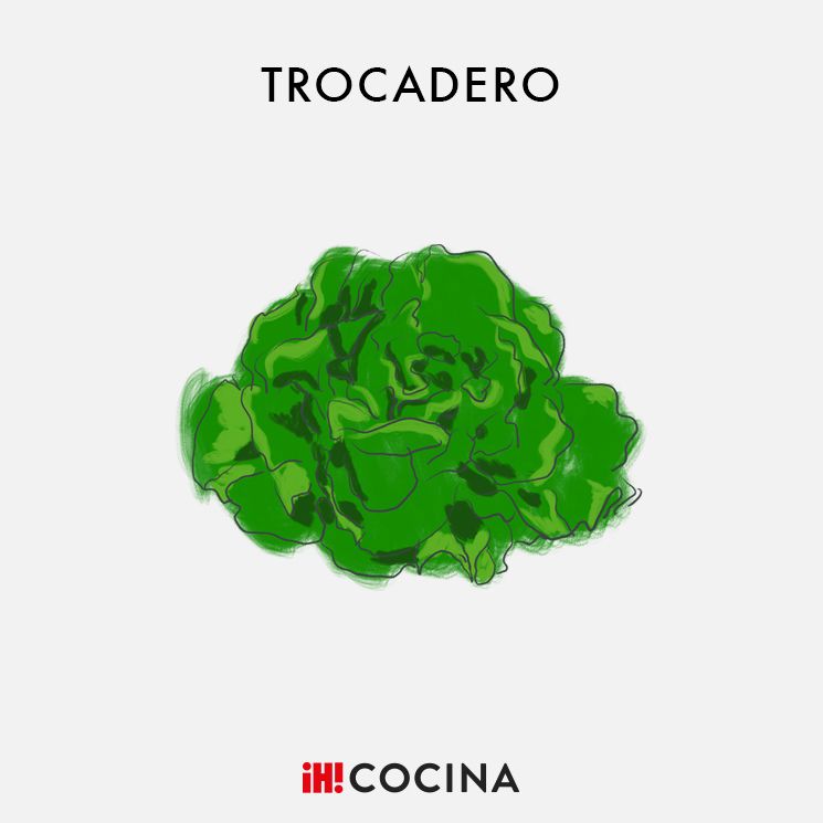 Lechuga trocadero