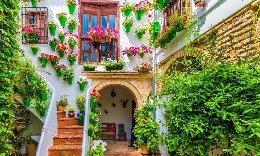 patios de cordoba en primavera