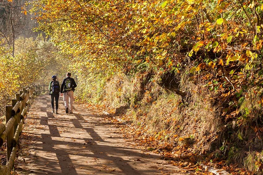 parque natural redes asturias