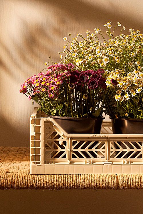 Caja con macetas con plantas 