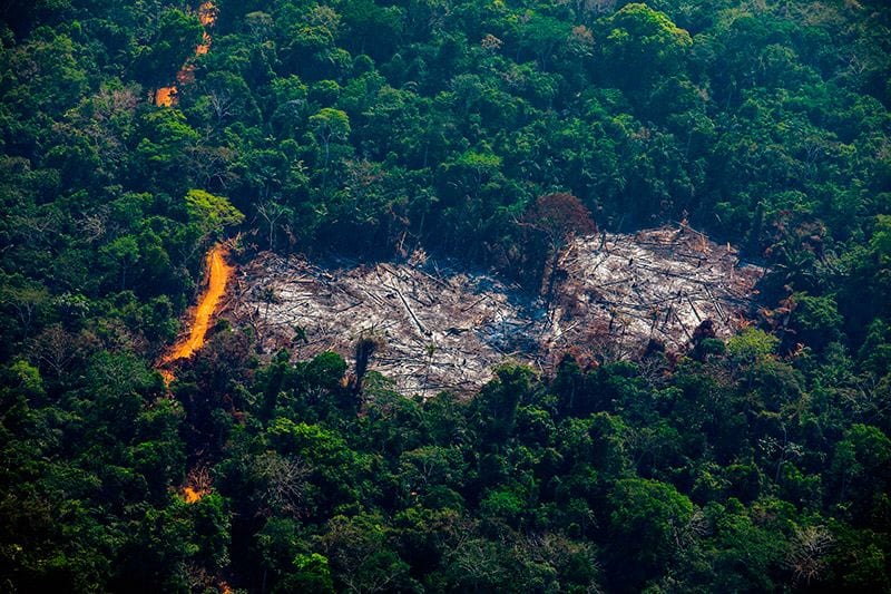 Incendios Amazonas