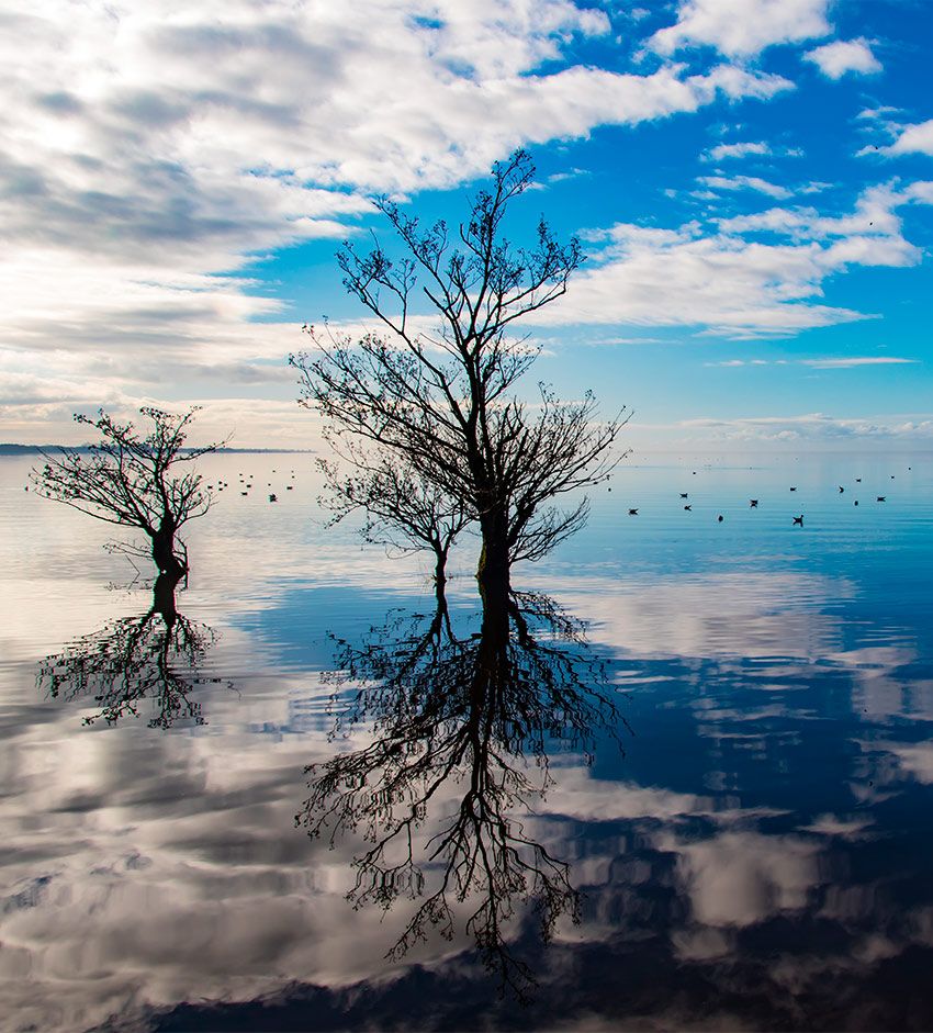 lough neagh 4a