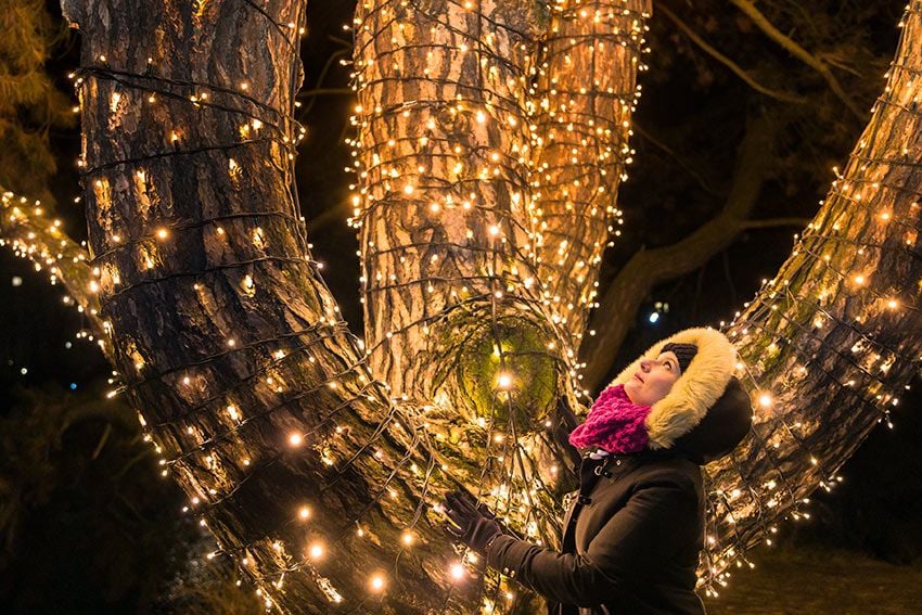 Christmas-Garden-Berlin-2018