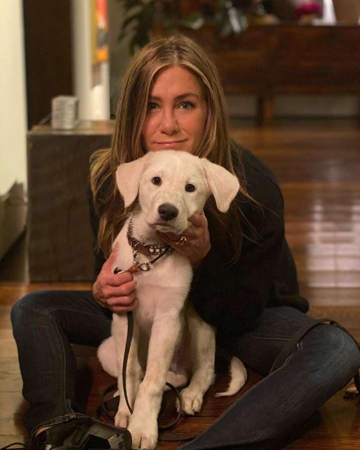 jennifer aniston