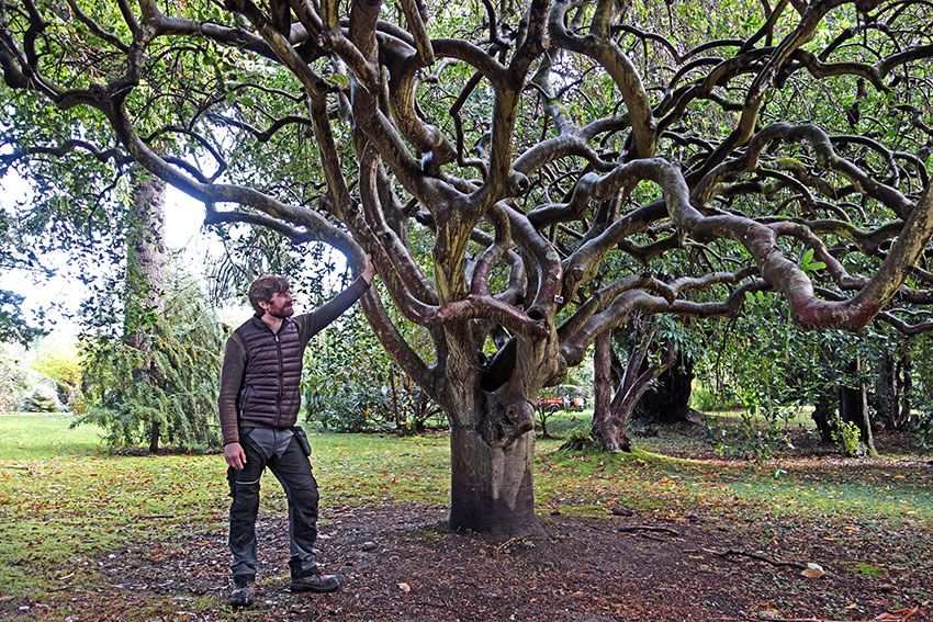 jardines-de-powerscourt