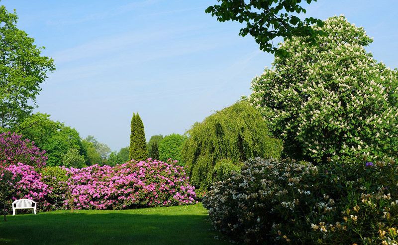 plantas jardin orientacion norte sur este oeste hola decoracion 04