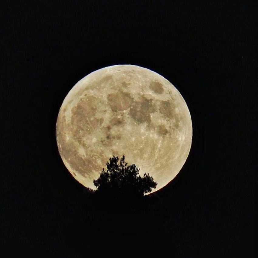 Noches de luna llena sobre el monasterio del Olivar.