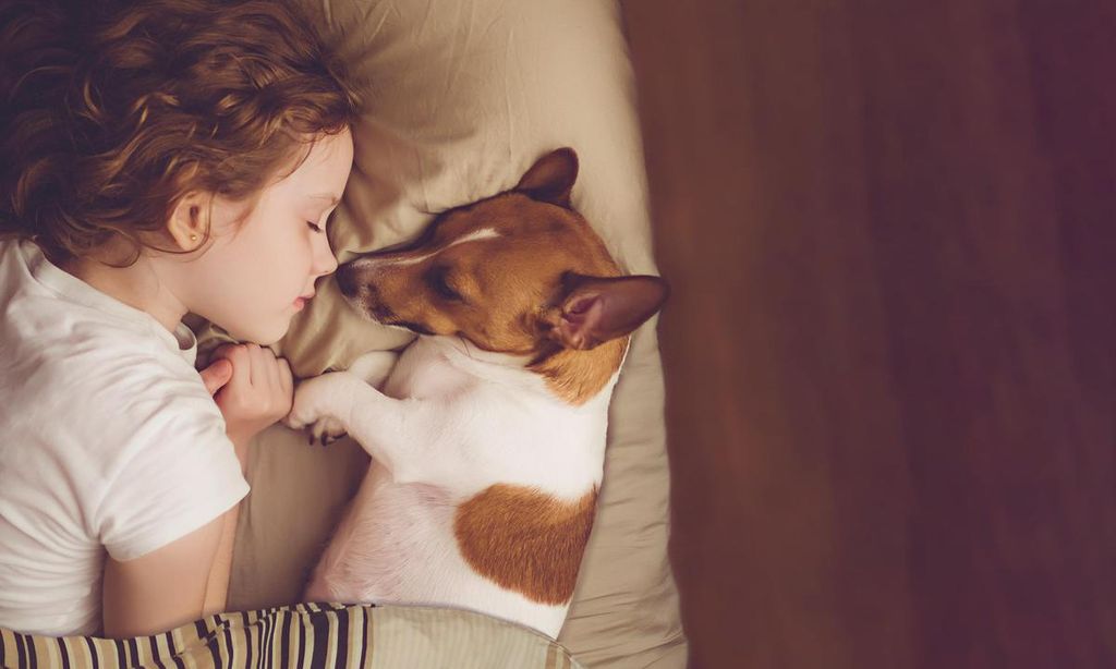 ni a durmiendo junto con su perro