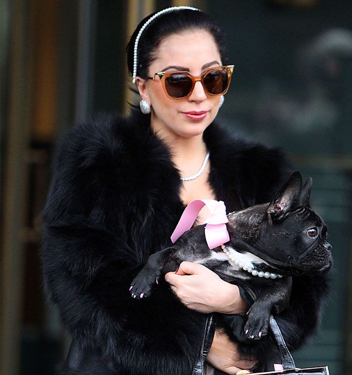 Lady Gaga, con uno de sus perros en brazos
