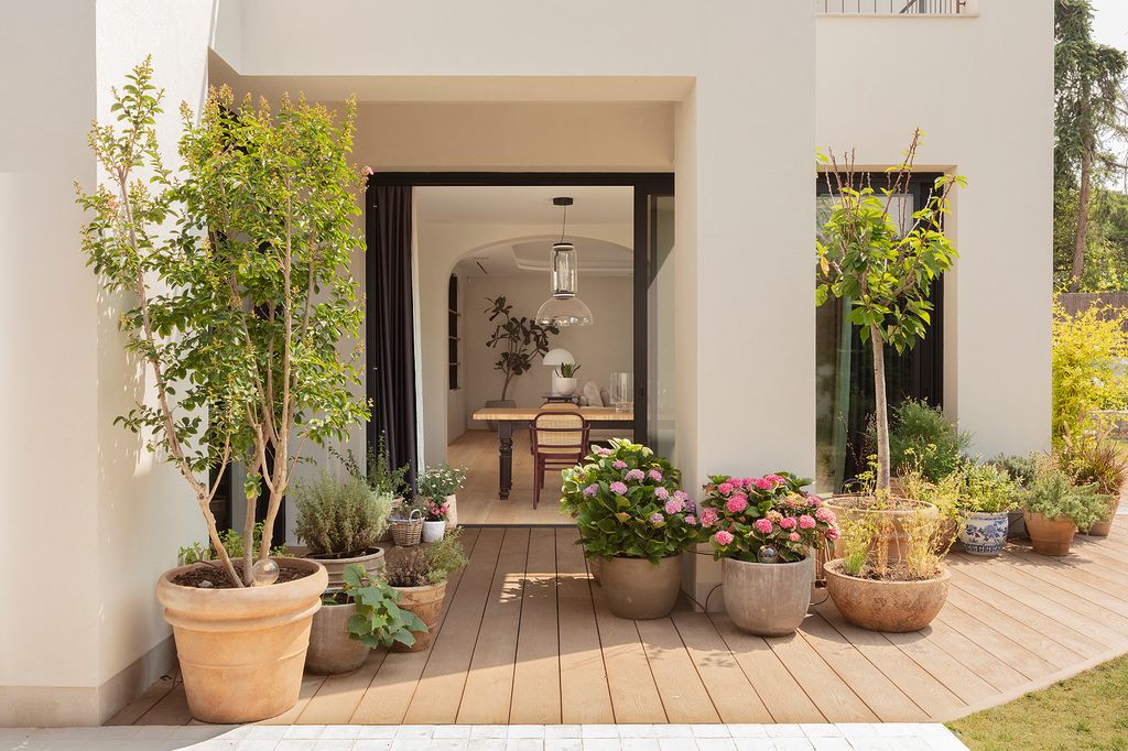 Entrada al interior desde el jardín, con plantas en el acceso