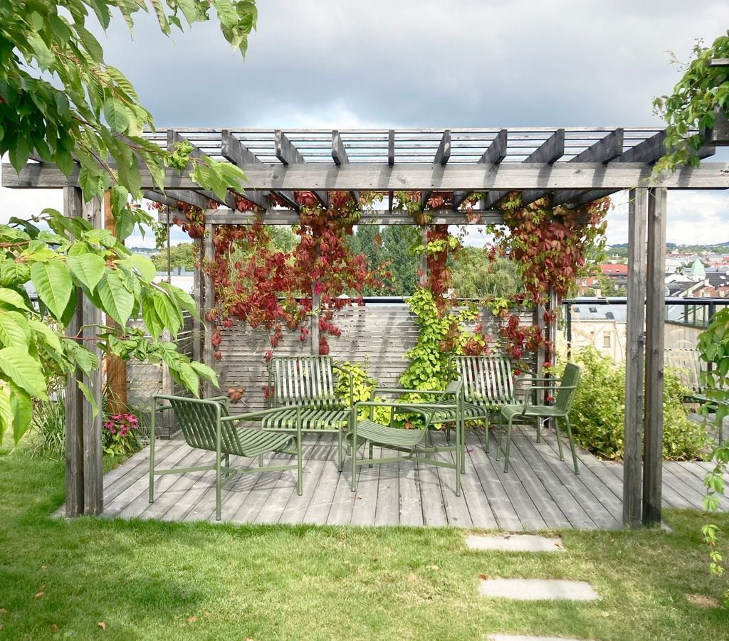 Pérgola en un jardín verde 