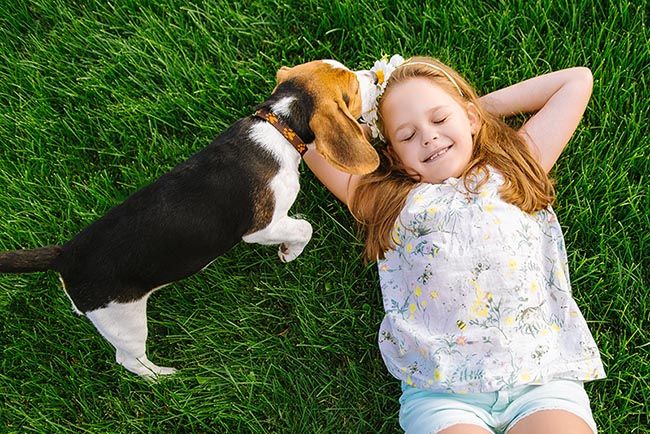 Un beagle puede ser el mejor amigo de tu hijo