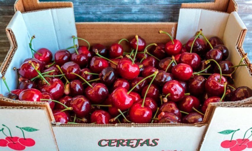 cerezas-de-la-sierra-portugal