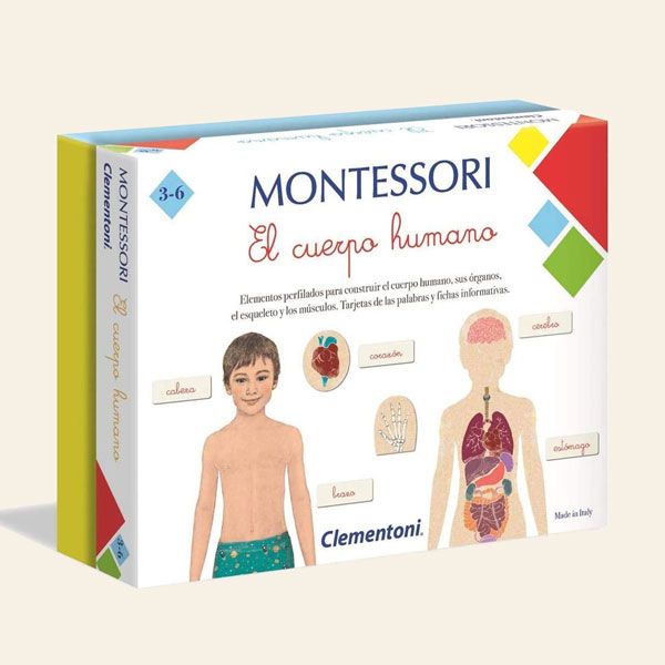 juego cuerpo humano