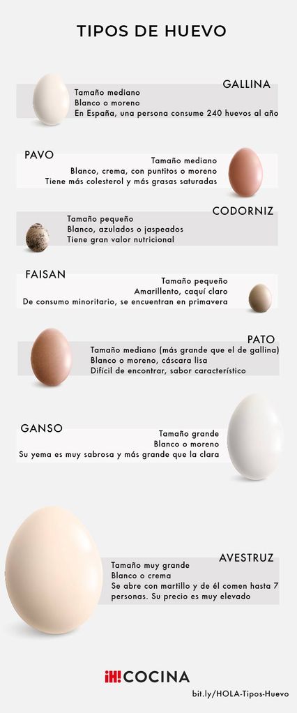 Tipos de huevo