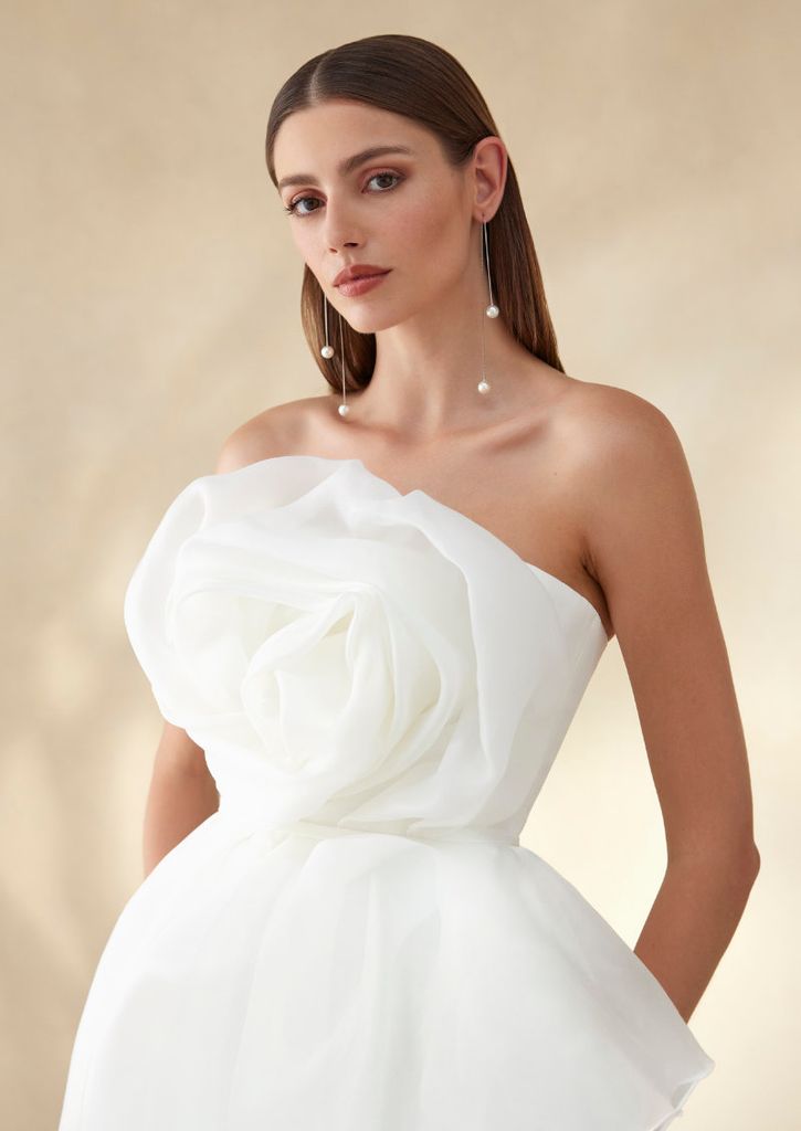 pronovias 56a