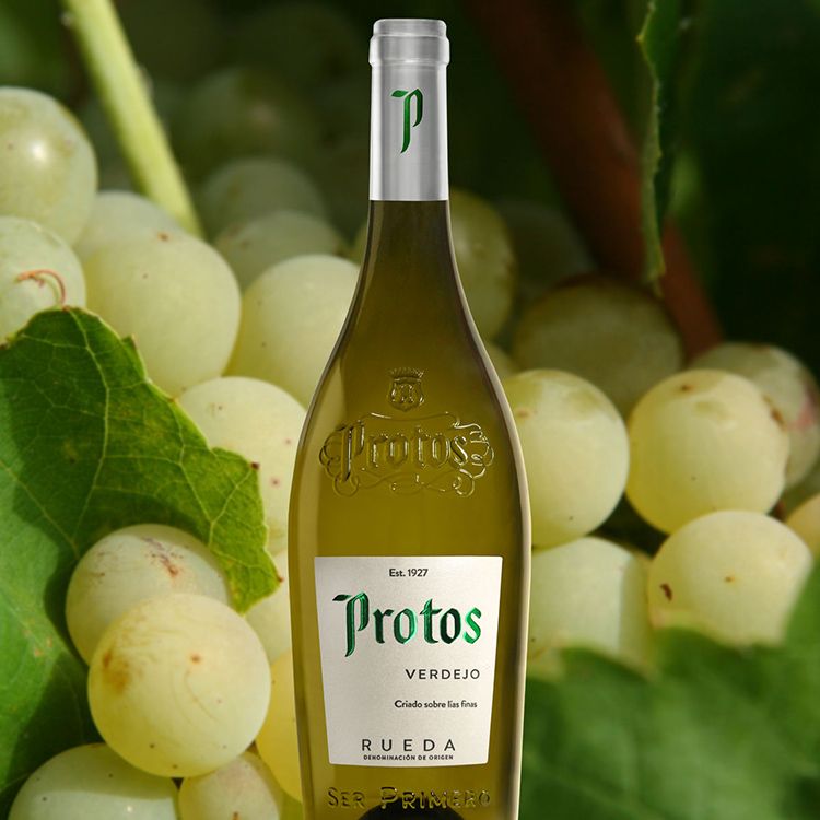 Verdejo Protos