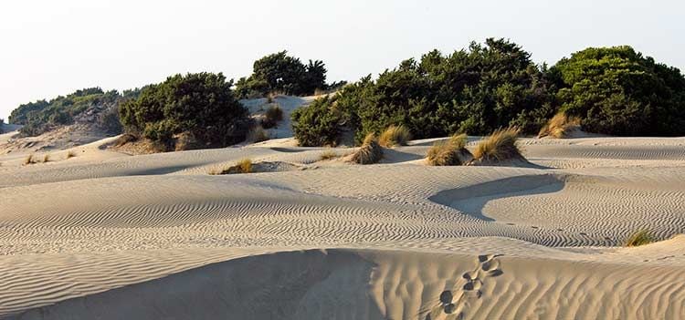 Dunas en Doñana Huelva