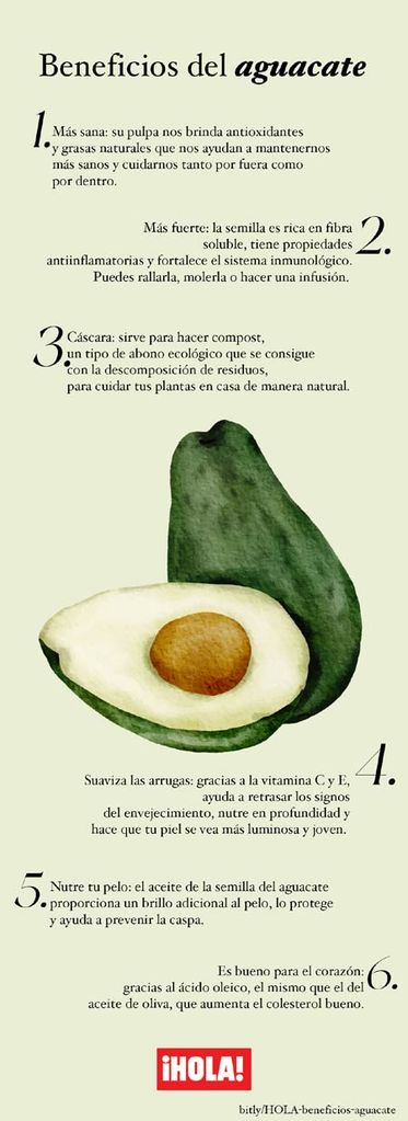 Beneficios aguacate 