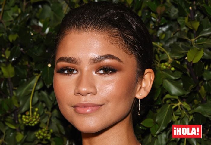 Las cejas de Zendaya