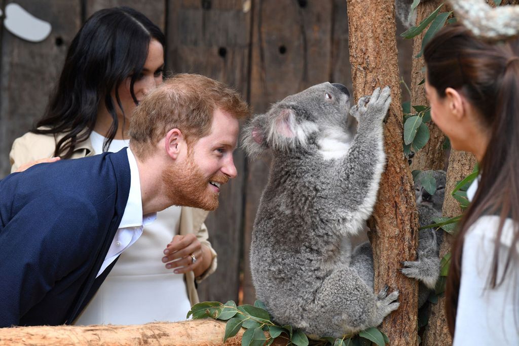 Los duques de Sussex durante su visita a Australia