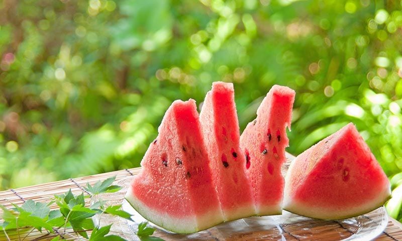 alimentos agua hidratacion calor sandia