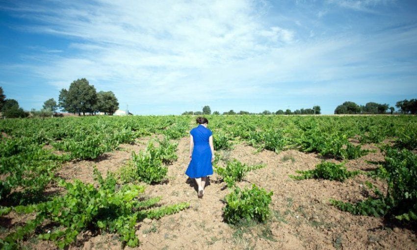 Visitas al viñedo de la bodega El Hato y el Garabato.