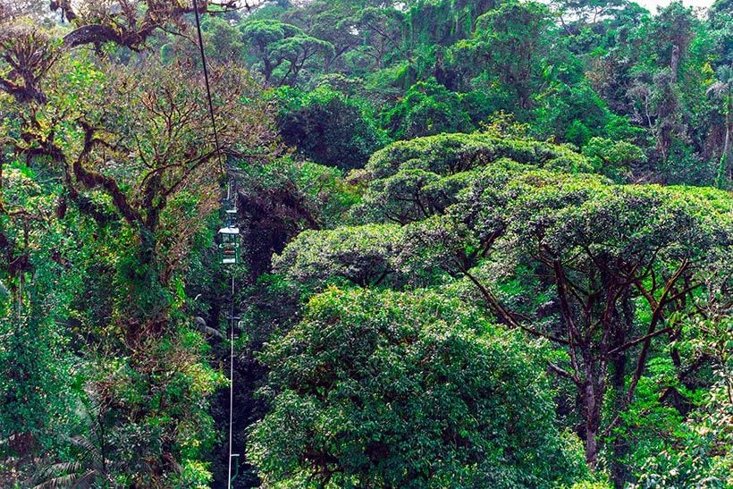 Braulio Carrillo parque nacional costa rica