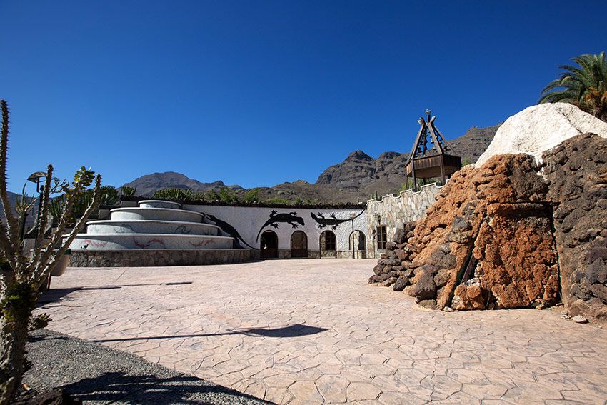 Cactualdea-gran-canaria